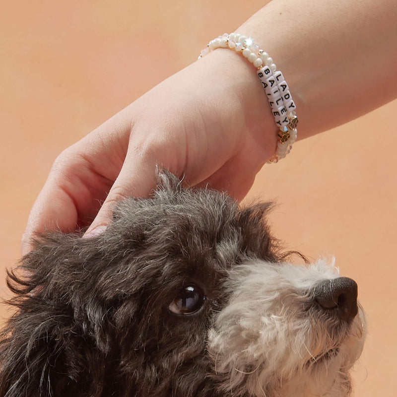 DIY Friendship Bracelet Collars For You and Your Dog - The Broke Dog